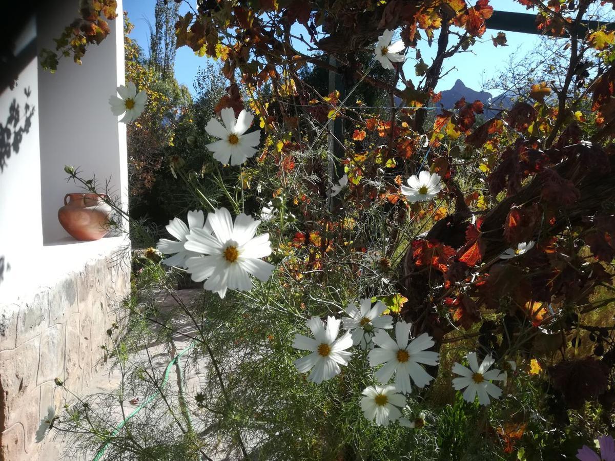 Villa Nanin Tilcara Esterno foto