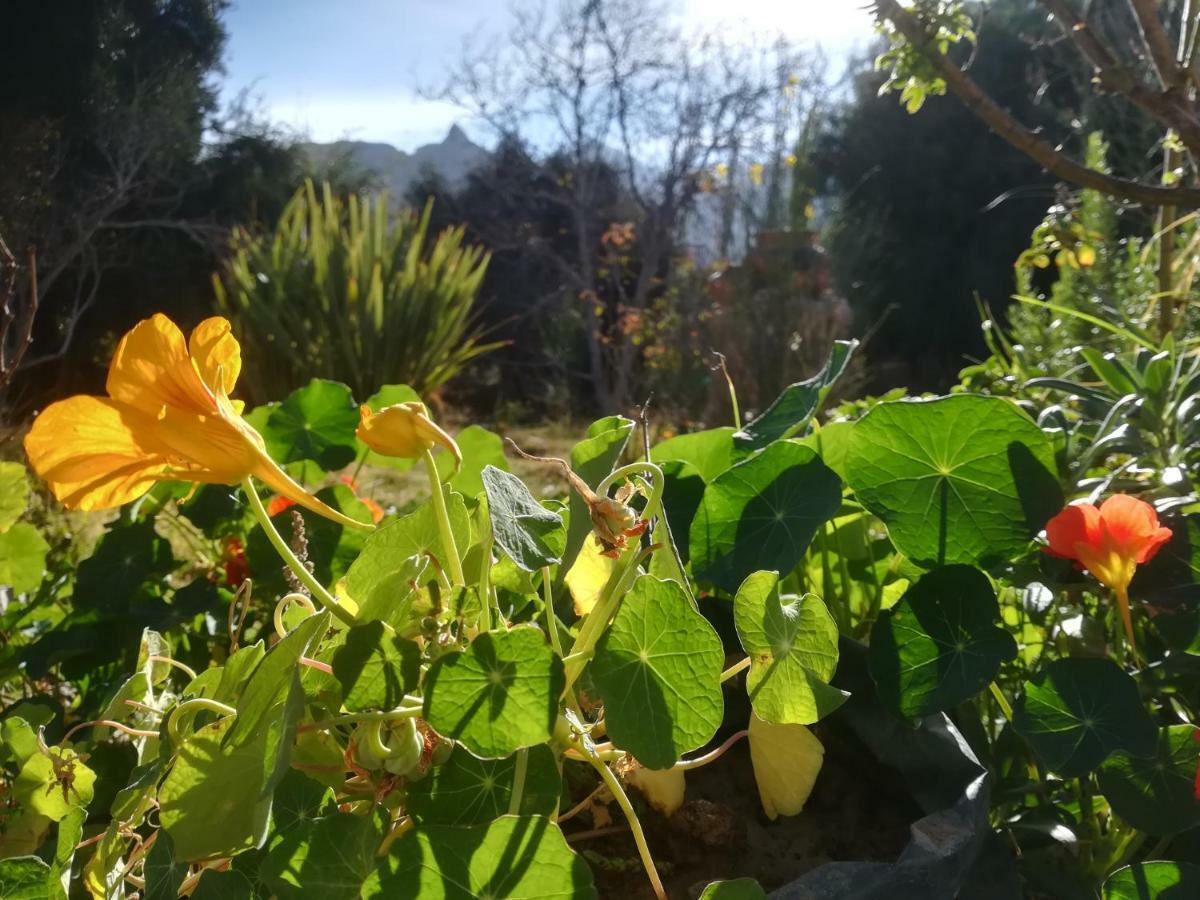 Villa Nanin Tilcara Esterno foto